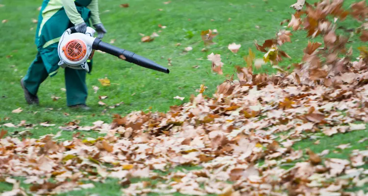 How To Clean A Dryer Vent With A Leaf Blower?