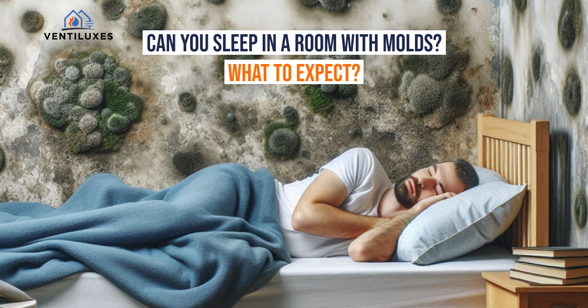 Can You Sleep in a Room with Molds